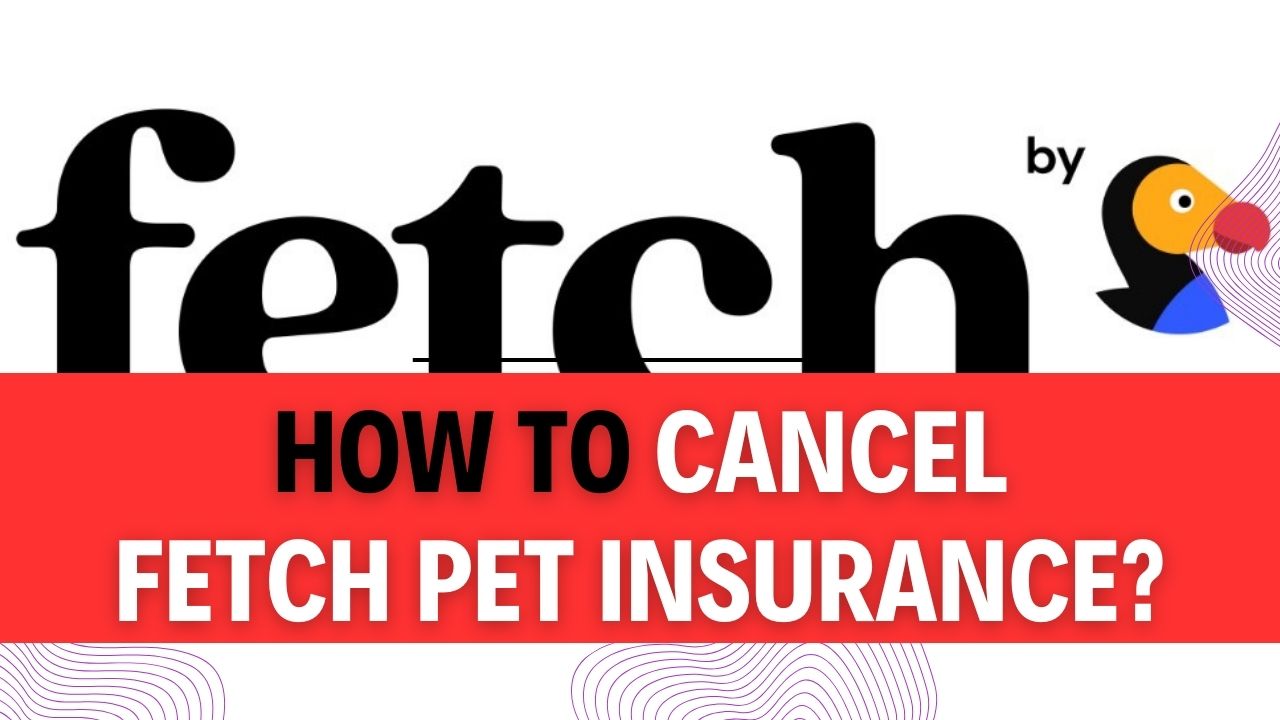 How To Cancel Fetch Pet Insurance