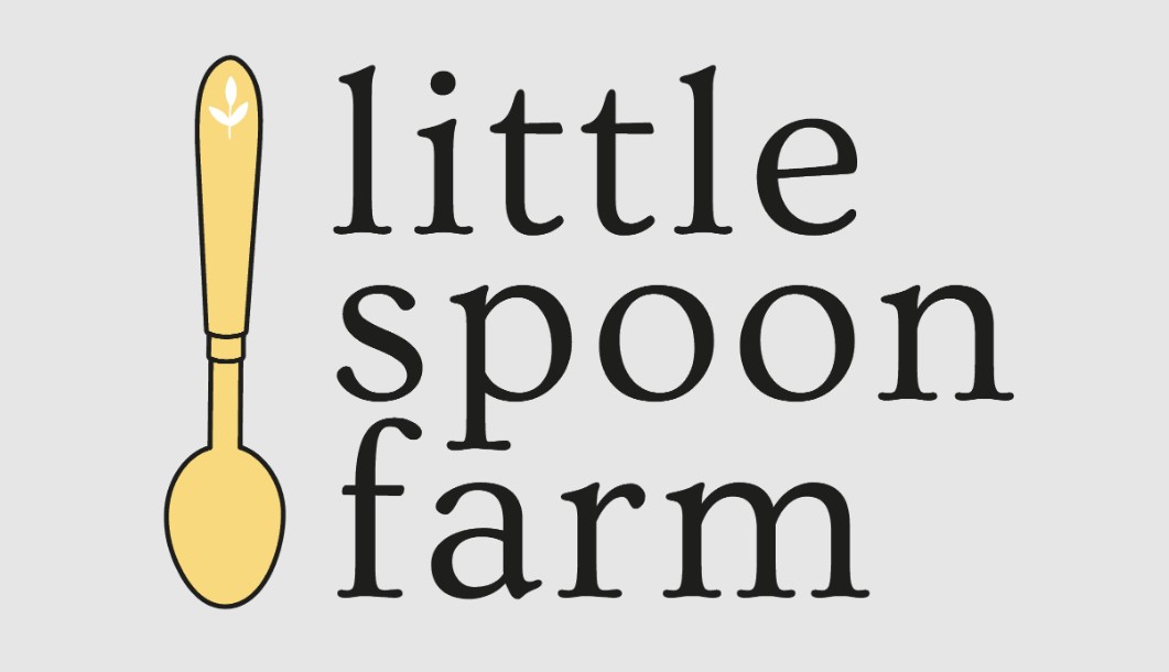 How to Cancel Little Spoon?