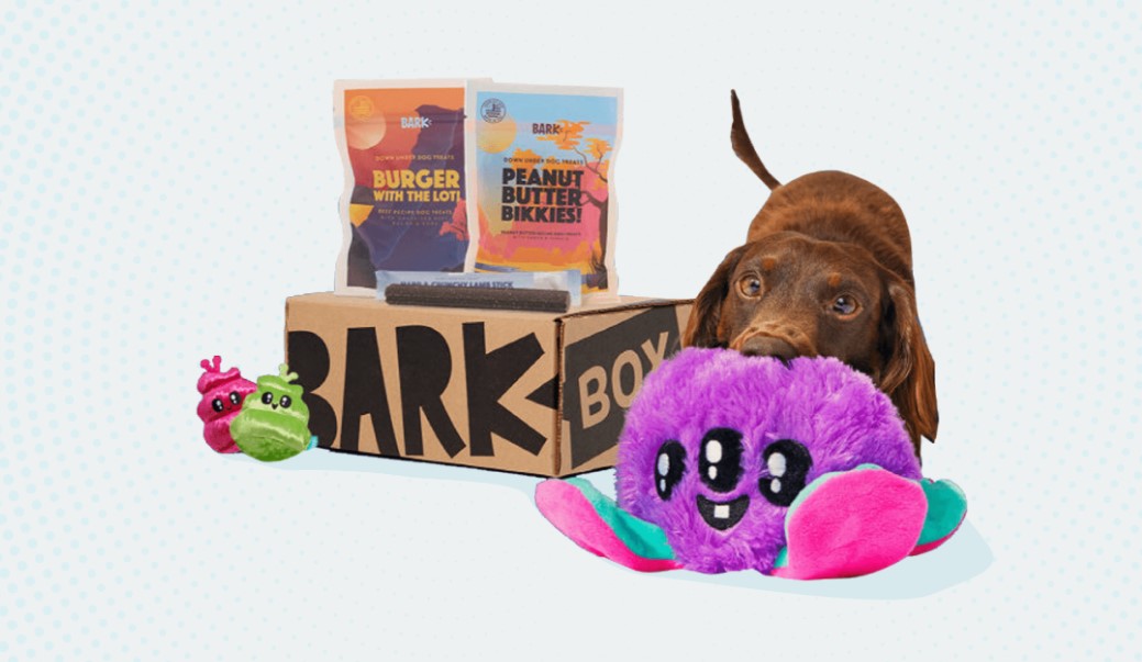 How to Cancel Barkbox