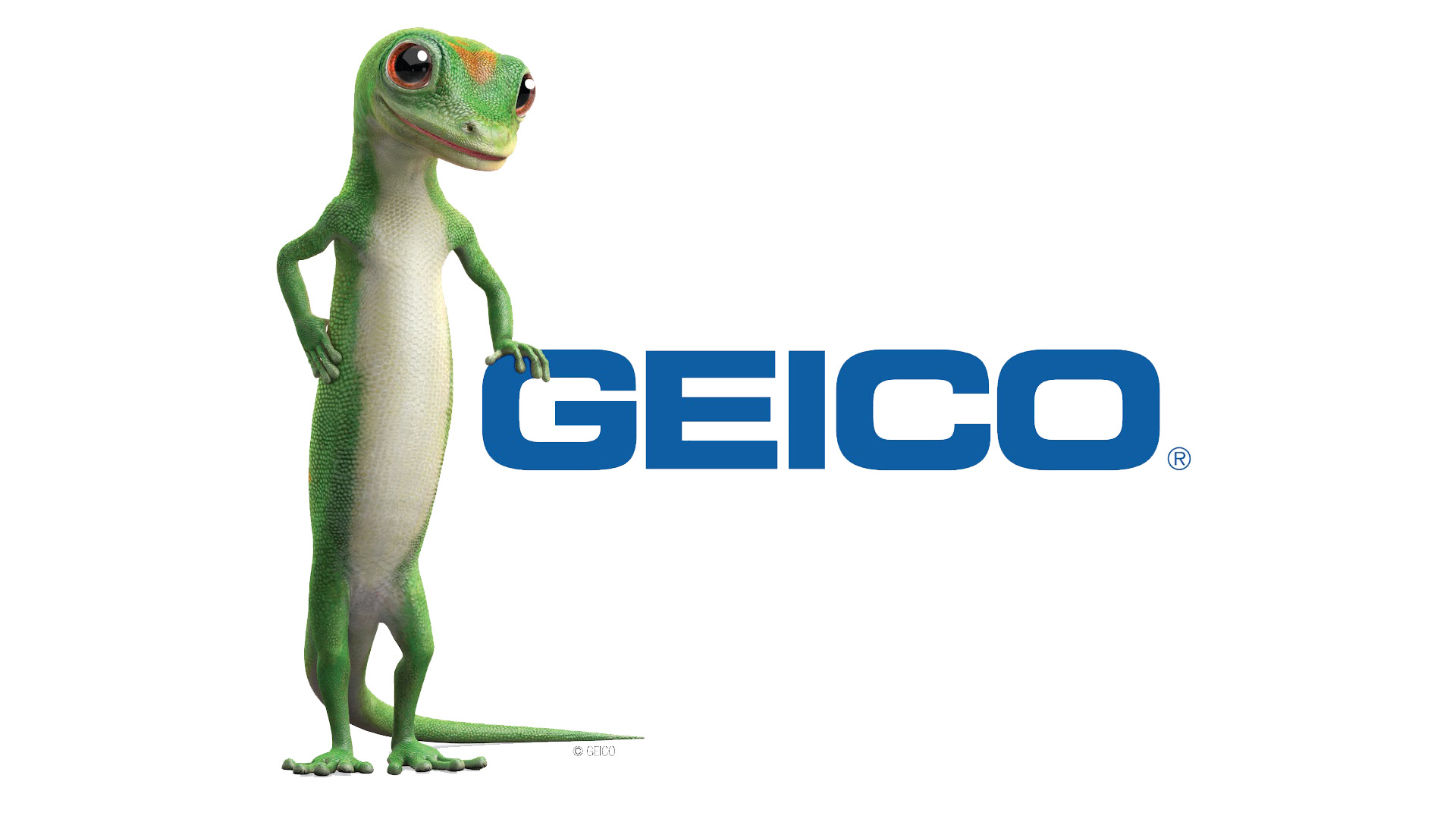 How To Cancel A Geico Policy